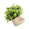 thumbnail image 2 of PENGXIANG Simulation Bonsai Artificial Potting Fake Flower Silk Decorative Household Accessories Pressure Alleviation Sweet Gift, 2 of 10