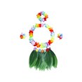 thumbnail image 1 of Eigraketly Juego de 5 unidades de de hierbas de diseño Simple, traje de baile de hojas tropicales, faldas, tocado, corona, accesorio para Deportes acuáticos Vistoso, 1 of 6