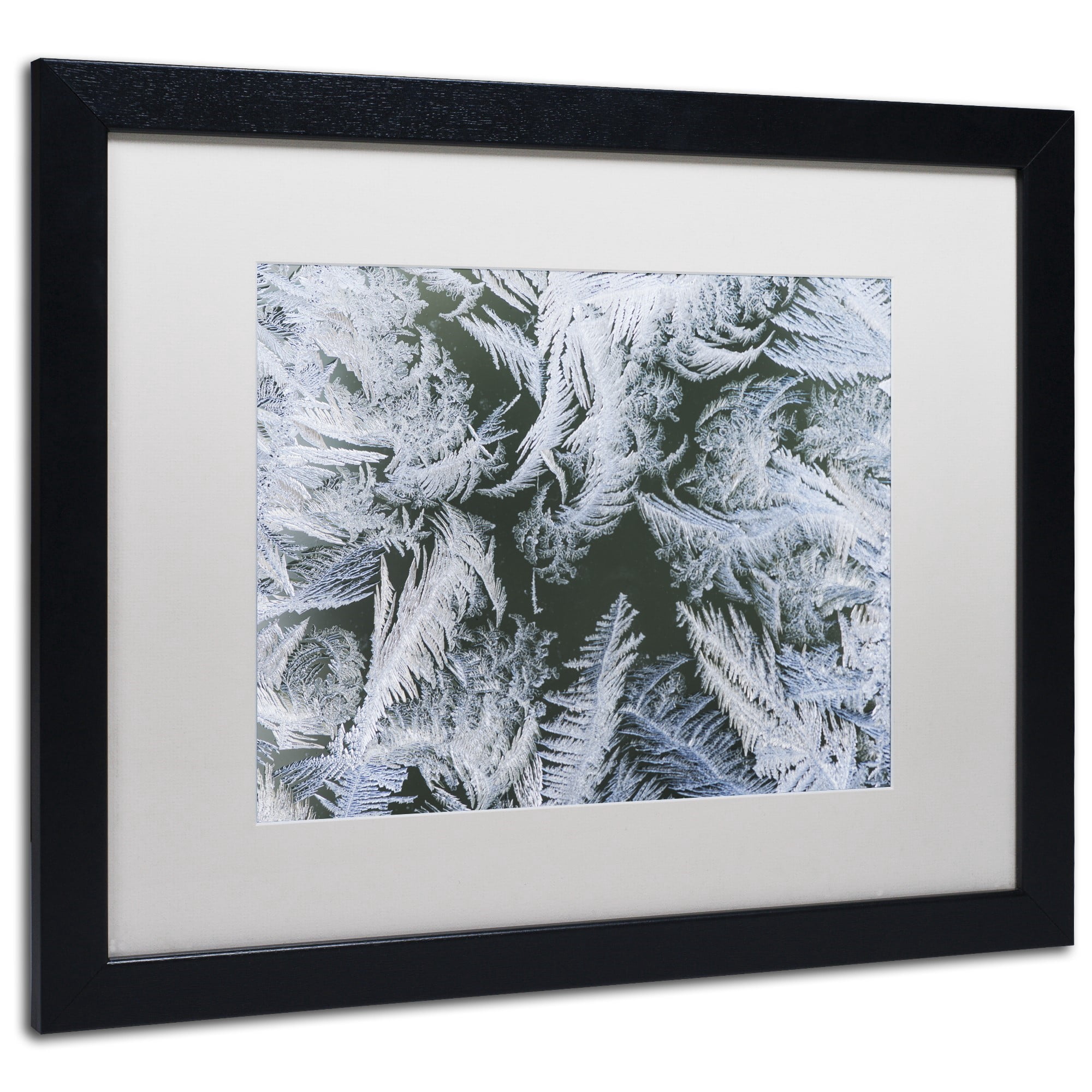 Trademark Fine Art "Frost at Zero Degrees" Canvas Art by Kurt Shaffer White Mat, Black Frame