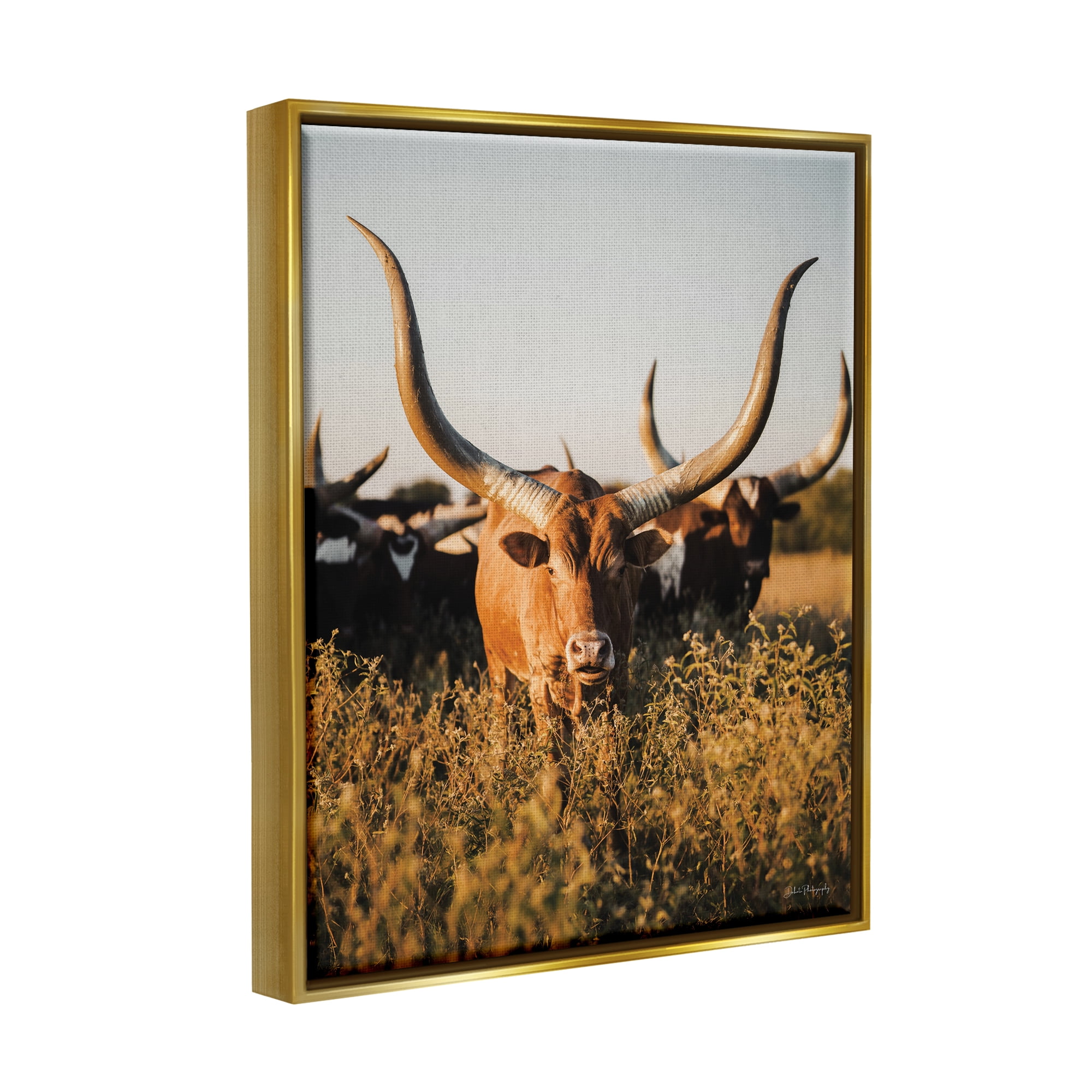 Stupell Industries Longhorn Herd Photography Animals & Insects Photography Gold Floater Framed Canvas Art Print Wall Art, 17 x 21