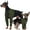 Green, variant on Kuoser Dog Recovery Suit, Surgery Suit for Front Legs, Dog Anti-Lick Wounds Sleeves, Green, M