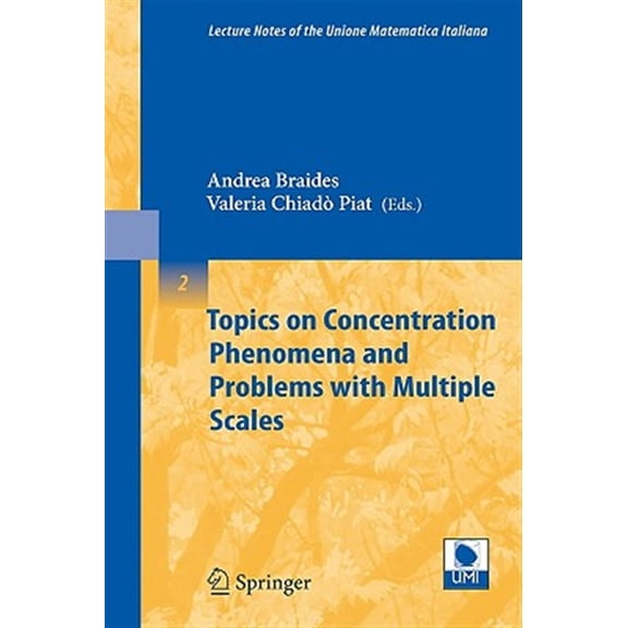 Pre-Owned Lecture Notes Of The Unione Matematica Italiana: Topics on Concentration Phenomena and Problems with Multiple Scales (Paperback)