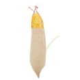thumbnail image 1 of 1pcs Simulation Corn Vegetable Artificial Lifelike Corn Fake Corn Fake Vegetable for Home Kitchen Decoration Place Props, 1 of 8