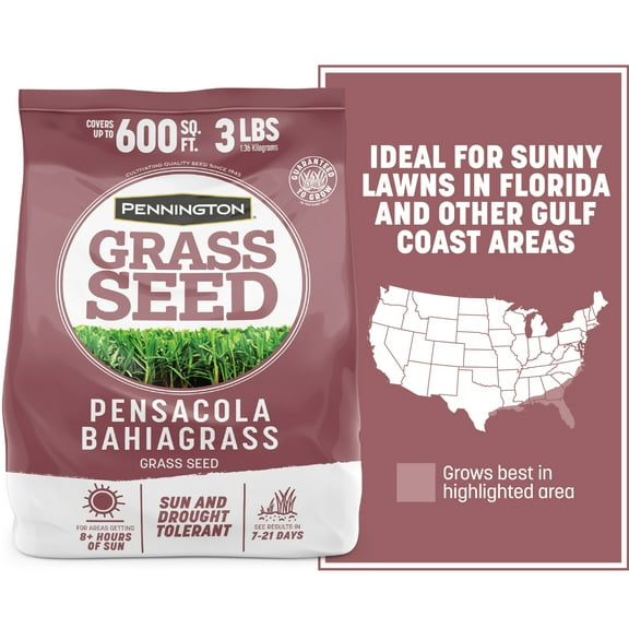 Pennington Pensacola Bahiagrass Grass Seed, for Full Sun, 3 lb.