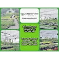 thumbnail image 5 of Greenwood Nursery Triple Crown Thornless Blackberry Live Plant, 2x 3.5 Pot, Large Sweet Berries, Zones 5-9, 5 of 6