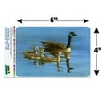 thumbnail image 6 of Canada Canadian Geese Family Home Business Office Sign, 6 of 7