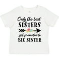 thumbnail image 3 of Inktastic Only the Best Sisters Get Promoted to Big Sister Boys or Girls Toddler T-Shirt, 3 of 5