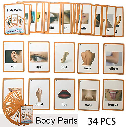 Richardy 34PCS/Set Body Parts Kids Gifts English Flash Cards Pocket Card Educational Learning Baby Toys For Children Pre-Kindergarten 
