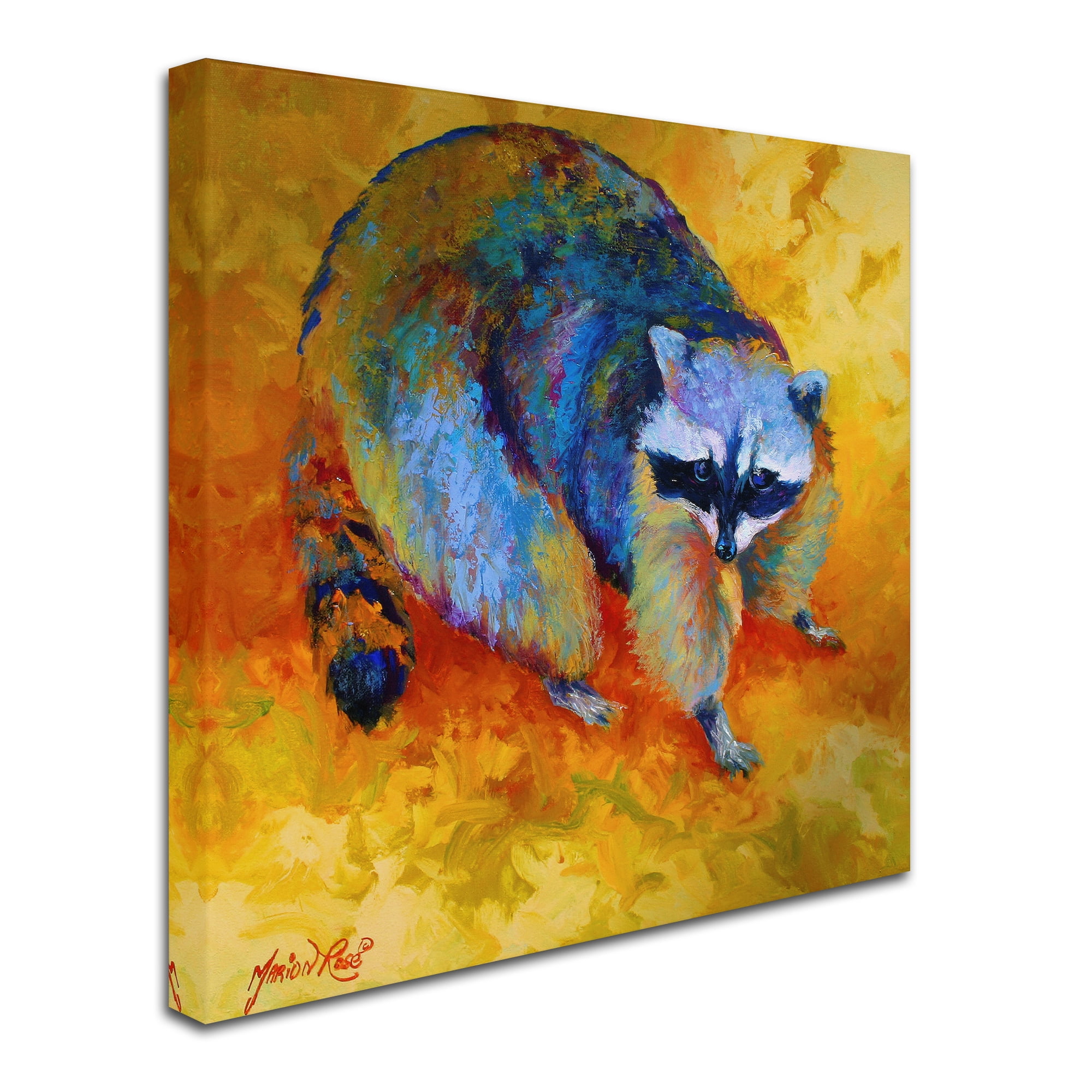 Trademark Fine Art 'Coon' Canvas Art by Marion Rose