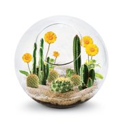 Dunecraft Mini Desertscape Science Kit