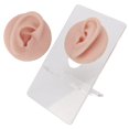 thumbnail image 3 of High Simulation Silicone Ear Model for Piercing Practice, Earring Display Props, Reusable, 3 of 7