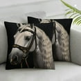 thumbnail image 2 of COMIO  Animals Horse Decorative Throw Pillow Covers Sketch Vintage Style Farm Animals Black Background Pillowcase Home Decor Cushion Cover for Sofa Chair Bed Couch 2pc, 2 of 6