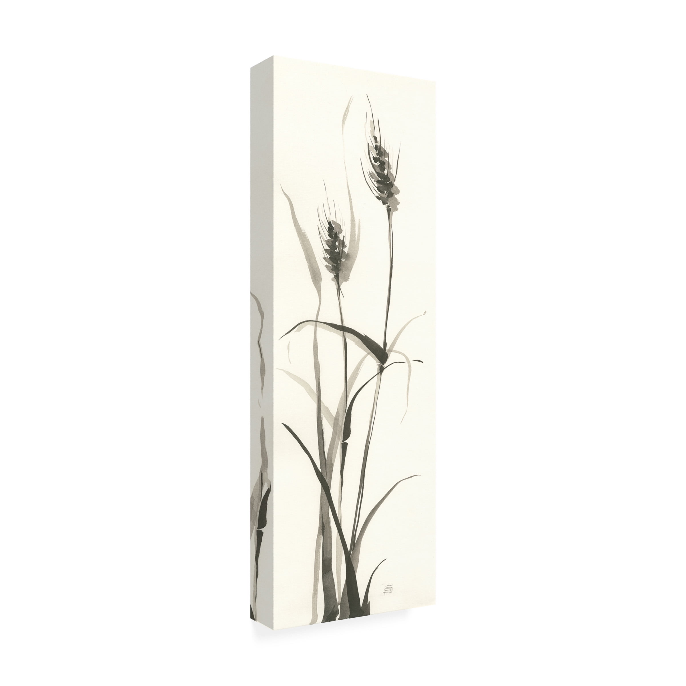 Trademark Fine Art "Wild Grass I" Canvas Art by Chris Paschke