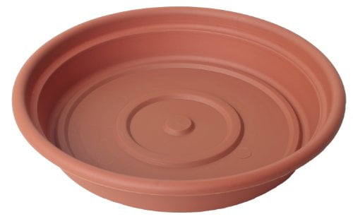 H x 4 in W Bloem  Terratray  Terracotta Clay  Resin  Traditional  Tray  3.7 in 
