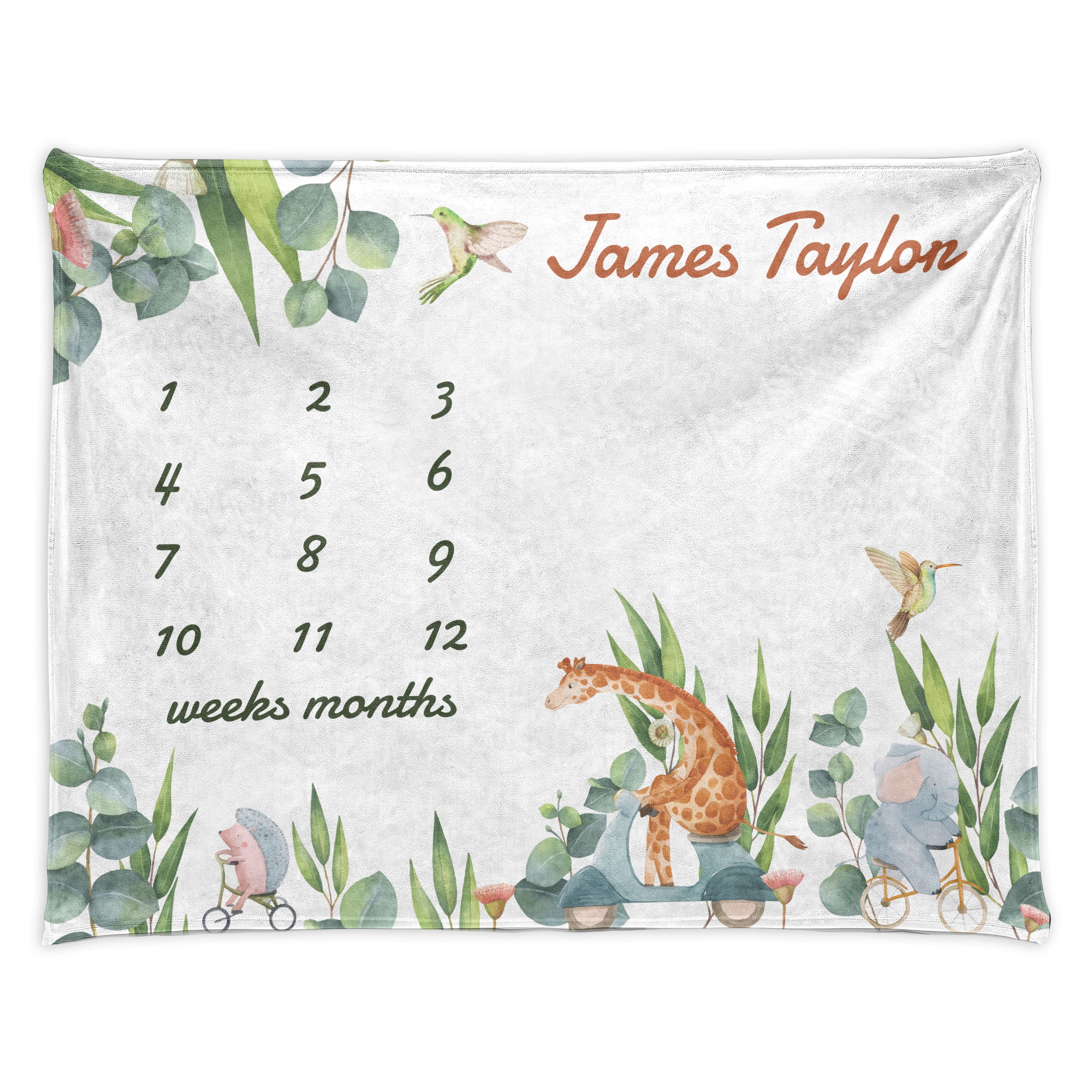 Animals Milestone Blanket, Funny Creatures Forest Branches Giraffe Hedgehog Hummingbird on Bikes, Growth Chart with Custom Names Photography Background, 60 Animals Milestone Blanket, Funny Creatures Forest Branches Giraffe Hedgehog Hummingbird on Bikes, Growth Chart with Custom Names Photography Background, 60