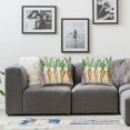 thumbnail image 3 of Awypu  Easter Pillow Covers 2pcs,Watercolor Orange Carrots Decorations Throw Pillow Covers,Spring Haliday Farmhouse Decor Pillow Case for Home Sofa Couch(05-018) 12x12in, 3 of 6