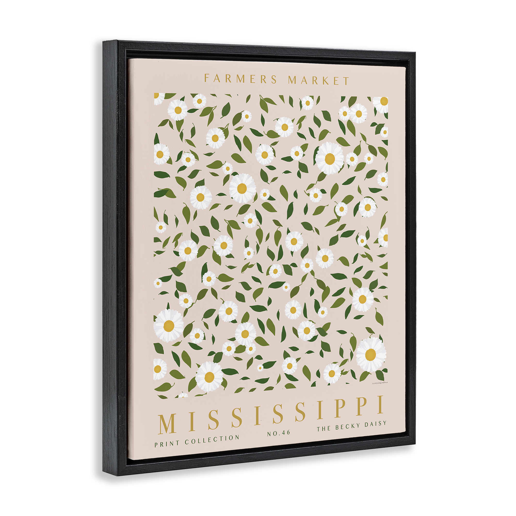 Stupell Industries Mississippi Daisy Pattern Typography Painting Black Floater Framed Art Print Wall Art, 25 x 31