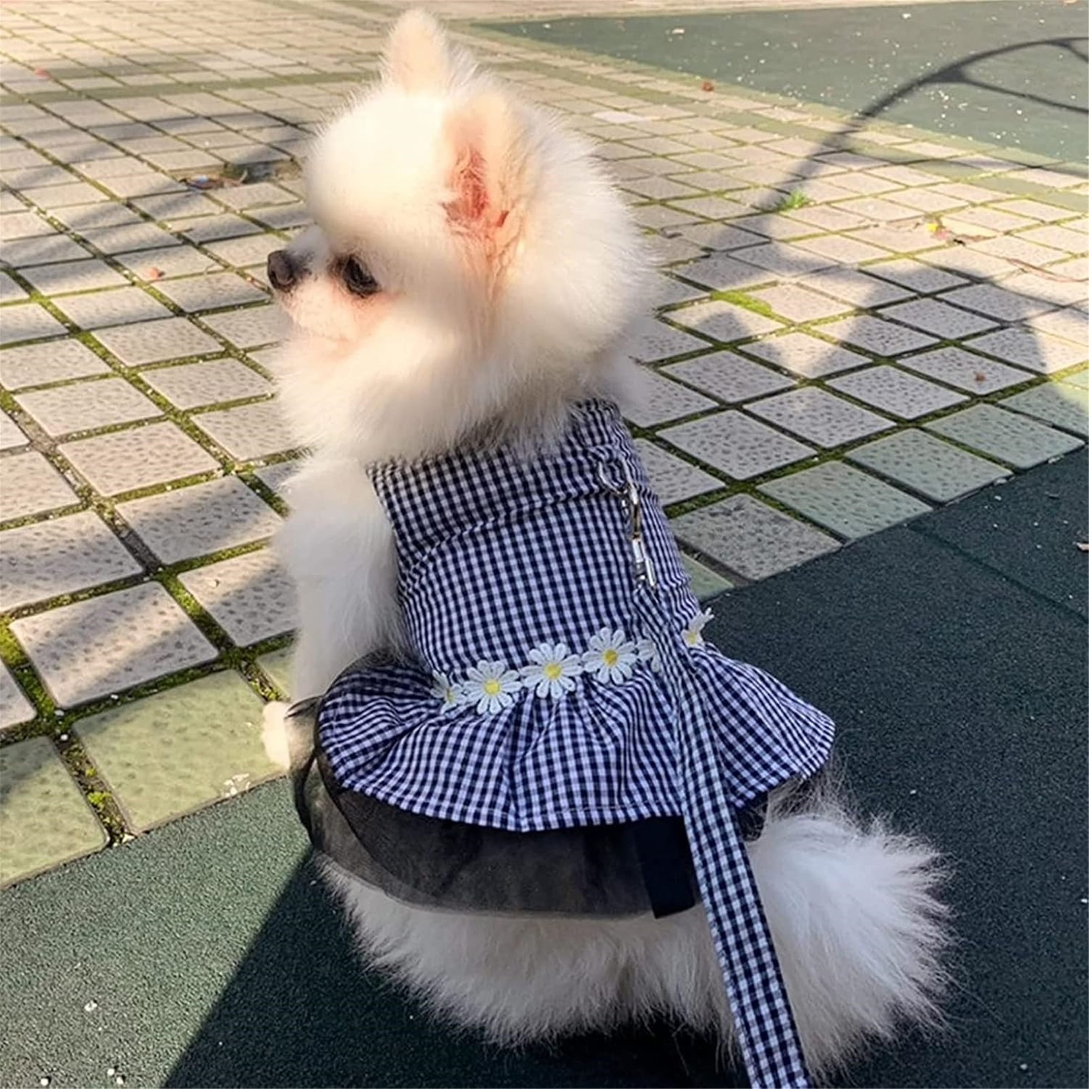 Small Dog Dress with Leash Set Adjustable Dog Harness Dress with D Ring,M,Black