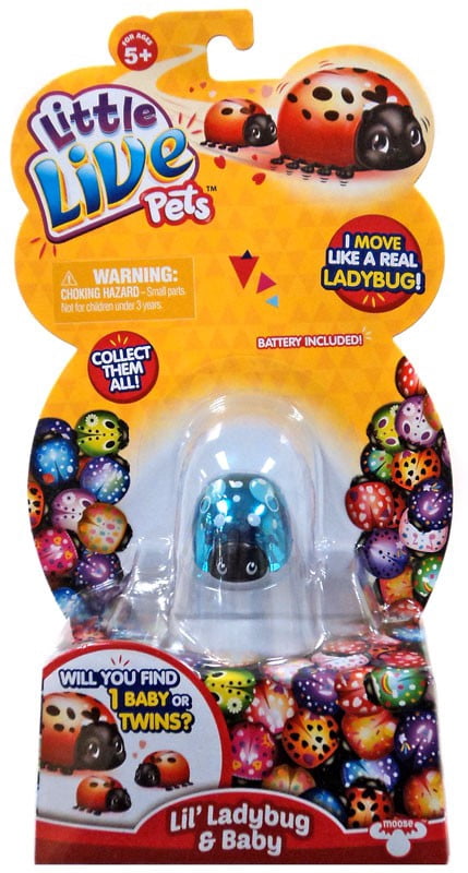 Little Live Pets Lil' Ladybug & Baby Shelly Bug Figure - Walmart.com