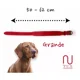 thumbnail image 4 of Collar Premium Para Perros 100% Piel Varios Colores, 4 of 8