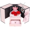 thumbnail image 1 of Set de regalo AddWel de rosas auténticas preservadas con collar de plata de ley, 1 of 9