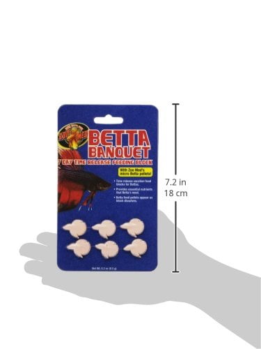 betta banquet