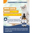 thumbnail image 3 of Suplemento de L-lisina para gatos SANTKOL Immune Support 60 ml, 3 of 8