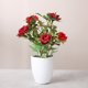thumbnail image 1 of Mini decoración floral de rosas reales, flor Artificial, planta de simulación en maceta, bonsái (rojo) JM JM, 1 of 4