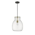 thumbnail image 2 of Z-Lite Bella 12" Round Clear Glass Steel Pendant in Matte Black and Olde Brass, 2 of 5