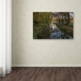 thumbnail image 4 of Trademark Fine Art 'Take me to the Pond' Canvas Art by Michael Blanchette Photography, 4 of 4