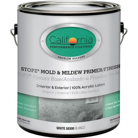 PRIMER MILDEW MOLD AP WHITE GA (Best Primer For Mold And Mildew)