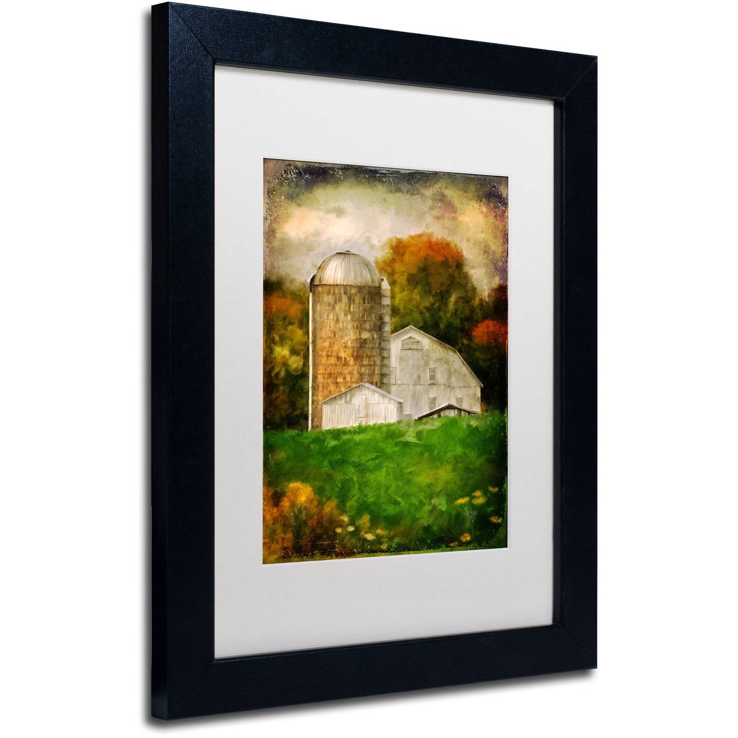 Trademark Fine Art "Down on the Farm" Canvas Art by Lois Bryan White Matte, Black Frame