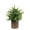 Green, variant on Spring Fake Plants, Artificial Tropical Small Pot Green Plants Indoor Office Table Kitchen Bathroom Home Decor, Semi Spherical Pulp Bonsai for Farmhouse Office Tabletop Decor, 1Pc(Green3,3x3x9.8")