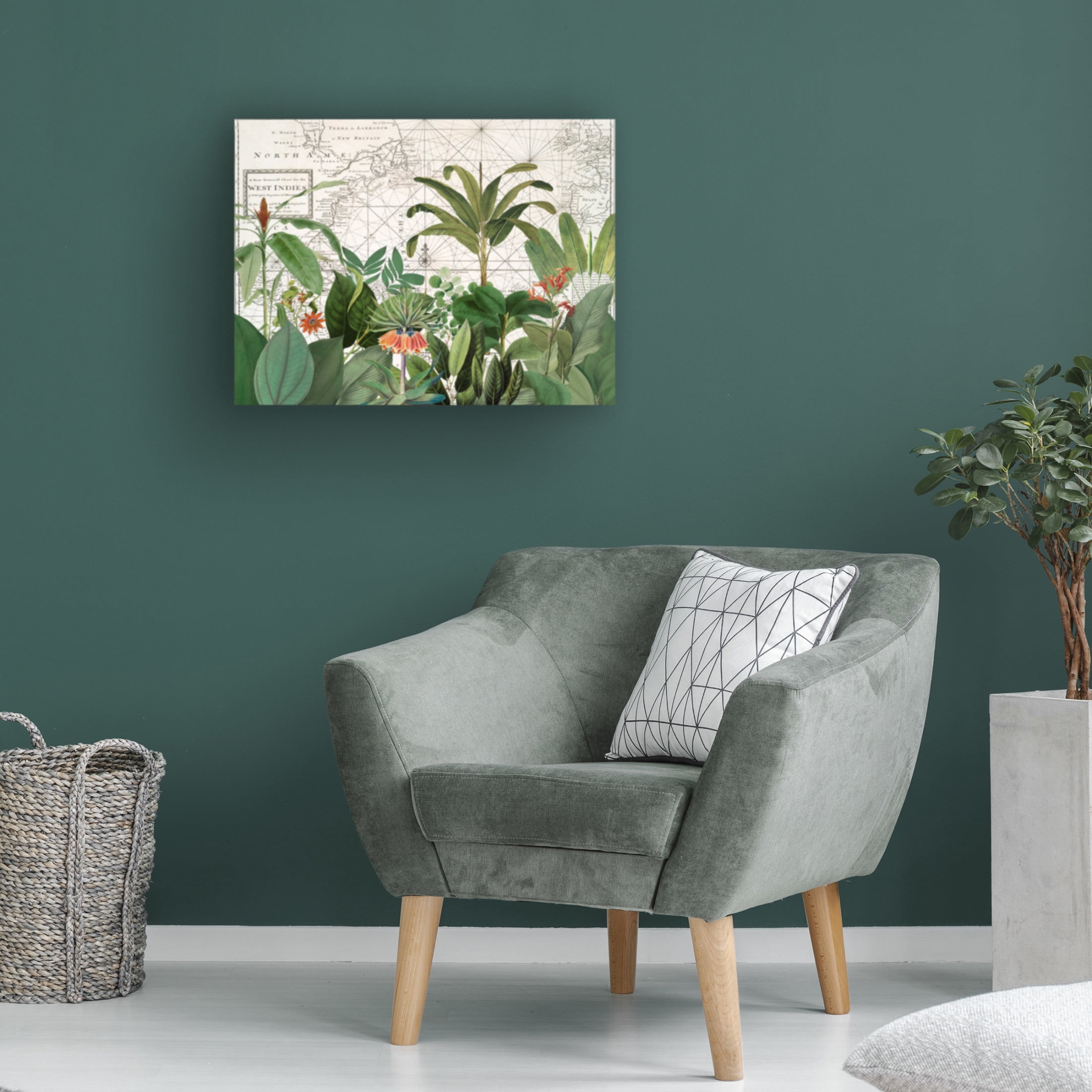 Trademark Fine Art Andrea Haase  Exotic Wildlife 005 Canvas Wall Art