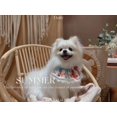 thumbnail image 4 of Pet Christmas Sweet and Comfortable Dog and Kitten Scarf Necklace Double layer Lace Collar Cat and Dog Saliva Towel Bow Pet Birthday Party Festival Daily Clothing Clothing Accessories - XS, 4 of 5
