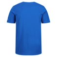 thumbnail image 2 of Regatta Mens Tait Lightweight Active T-Shirt, 2 of 5