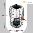 thumbnail image 2 of Comedero colgante para pájaros para exteriores, Nature's Rhythm, a prueba de ardillas, 2 of 6