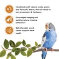 thumbnail image 2 of Living World Sticks, Budgie Treat, Honey Drizzle, 90 G (3.2oz), 2 of 6