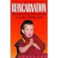 thumbnail image 1 of Pre-Owned Reincarnation (Paperback) 074750380X 9780747503804, 1 of 1