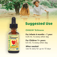 thumbnail image 3 of ChildLife | Equinácea, Sabor natural a naranja, 30 ml (1 oz), 3 of 4