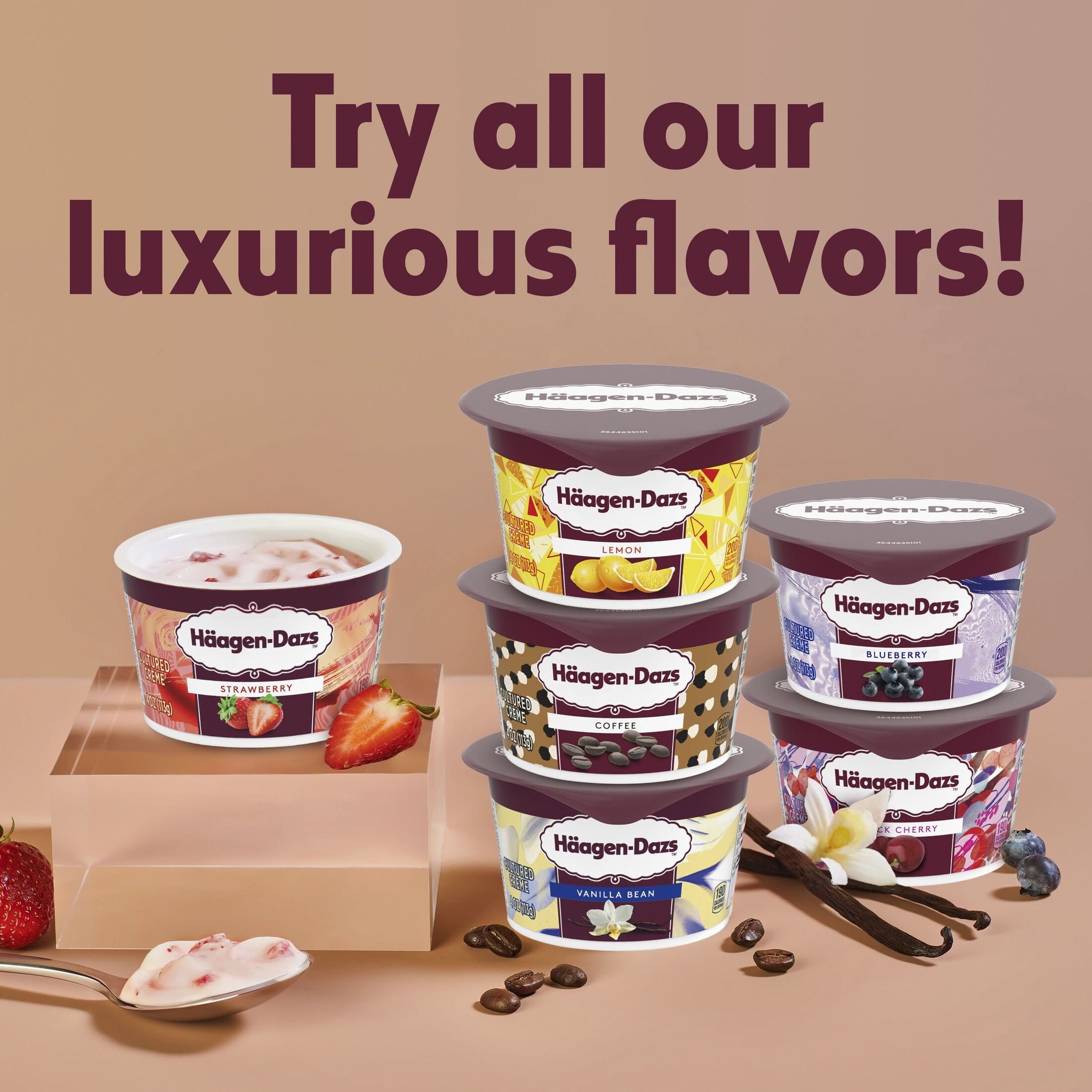 Haagen Dazs Yogurt Style Snack, Cultured Cream, Vanilla and Chocolate Flavored, 4 oz Cup
