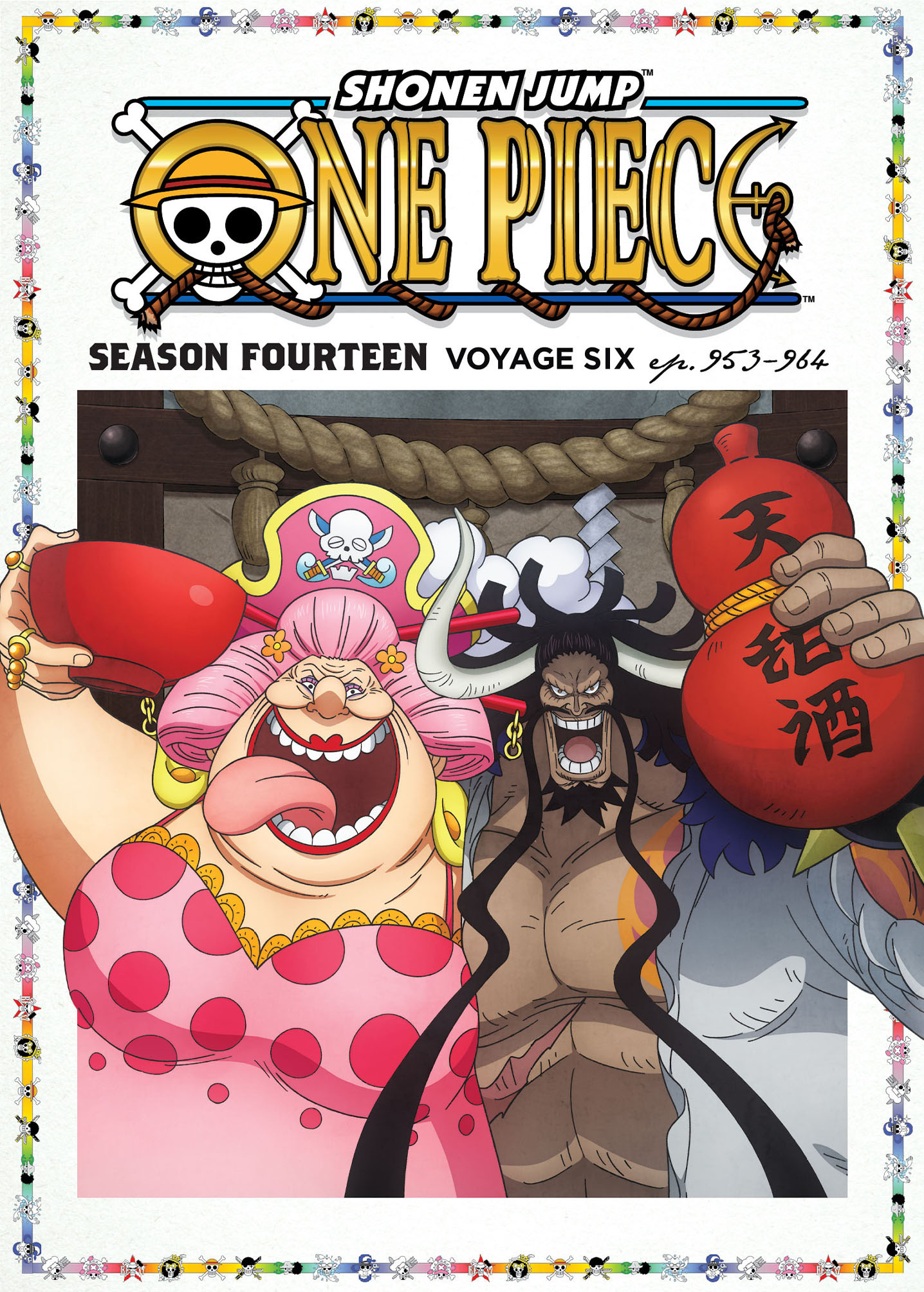 One Piece: Season 14 Voyage 6 (Blu-ray + DVD)