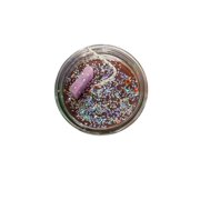 Coyote Dressed Candle Kit
