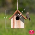 thumbnail image 5 of Perky-Pet Cedar Wood Brown Wren Home, 5 of 8