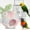 B, variant on HHBEAUTY Conure Nest, Bird Breeding House Cockatiel Snuggle Hut for Budgie, Parakeet, Cockatiel, Conure, Lovebird, Canary, Finch, Hamster, Small Pets, Fluffy Bird Bed & Hammock