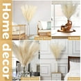 thumbnail image 5 of Soonbuy 4 PCS 44" Natural Dried Pampas Grass Bouquet,Boho Home Decor Bouquet, Phragmites Dried Flowers,Bouquet for Wedding Floral Arrangements Home Decorations, 5 of 7