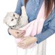 thumbnail image 1 of Portabebés para mascotas, bolso de lona portátil, bolso de hombro para perros, para viajes al aire libre, 1 of 8