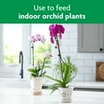 thumbnail image 4 of Miracle-Gro Water Soluble Orchid Food, 8 oz., For All Acid-Loving Plants, 2-Pack, 4 of 9
