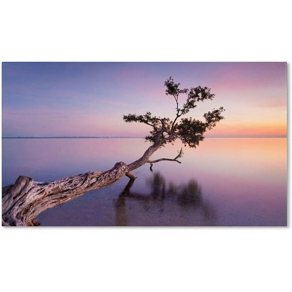 Gallery Wrapped 12x19 Canvas Art