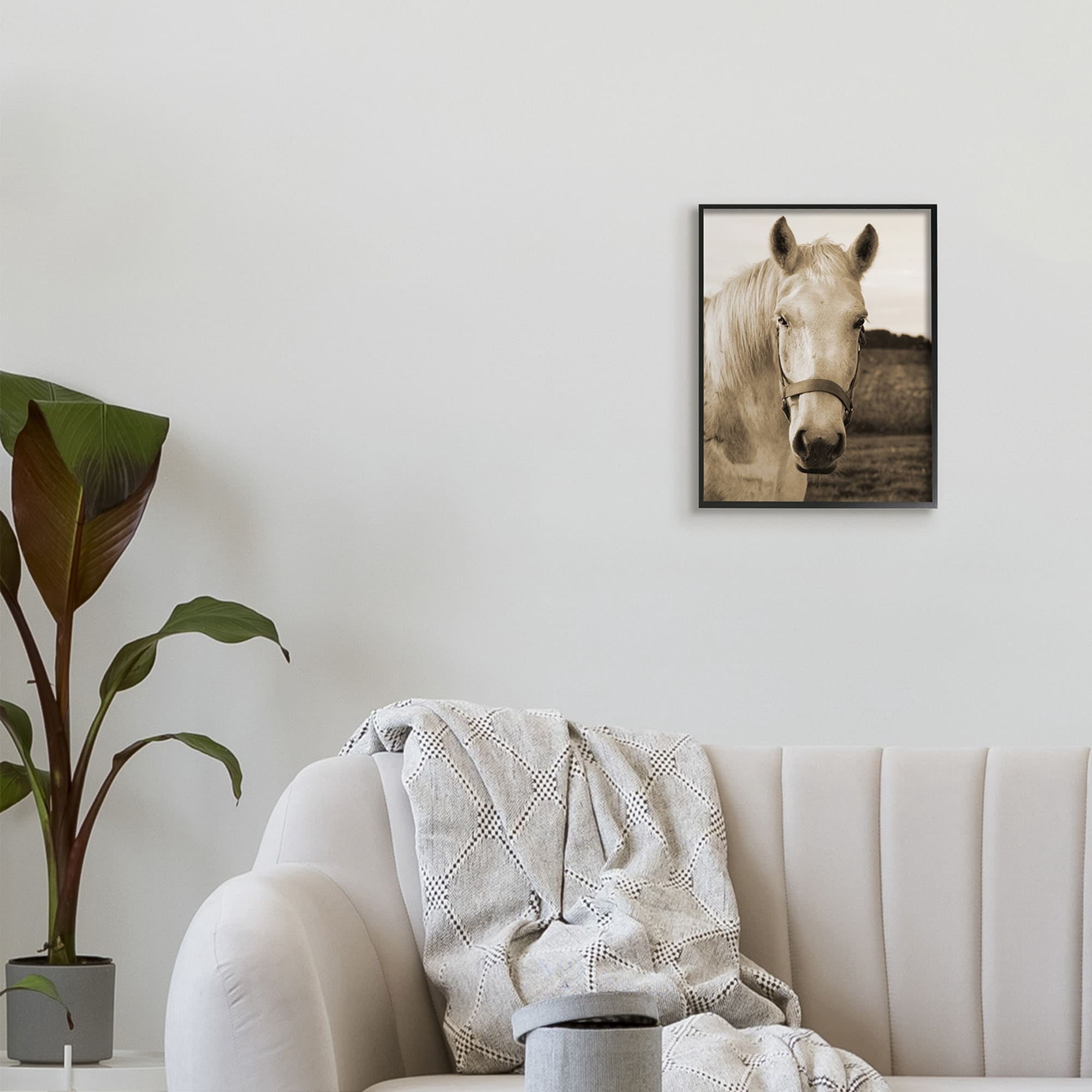 Industries Rustic Sepia tone Portrait of White Horse 11 in x 14 in Framed Photography Art Prints, by Stupell Home Décor